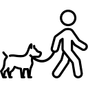 Experienced dog walkers