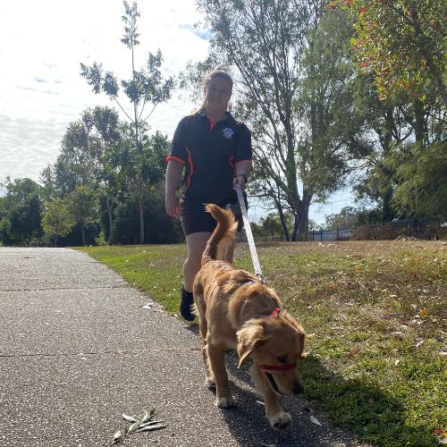 Winter - Brisbane Dog Walker